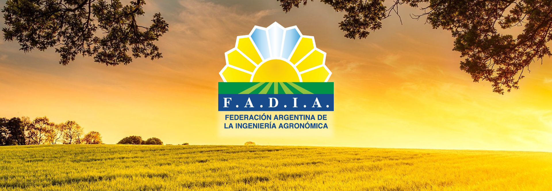 encabezado